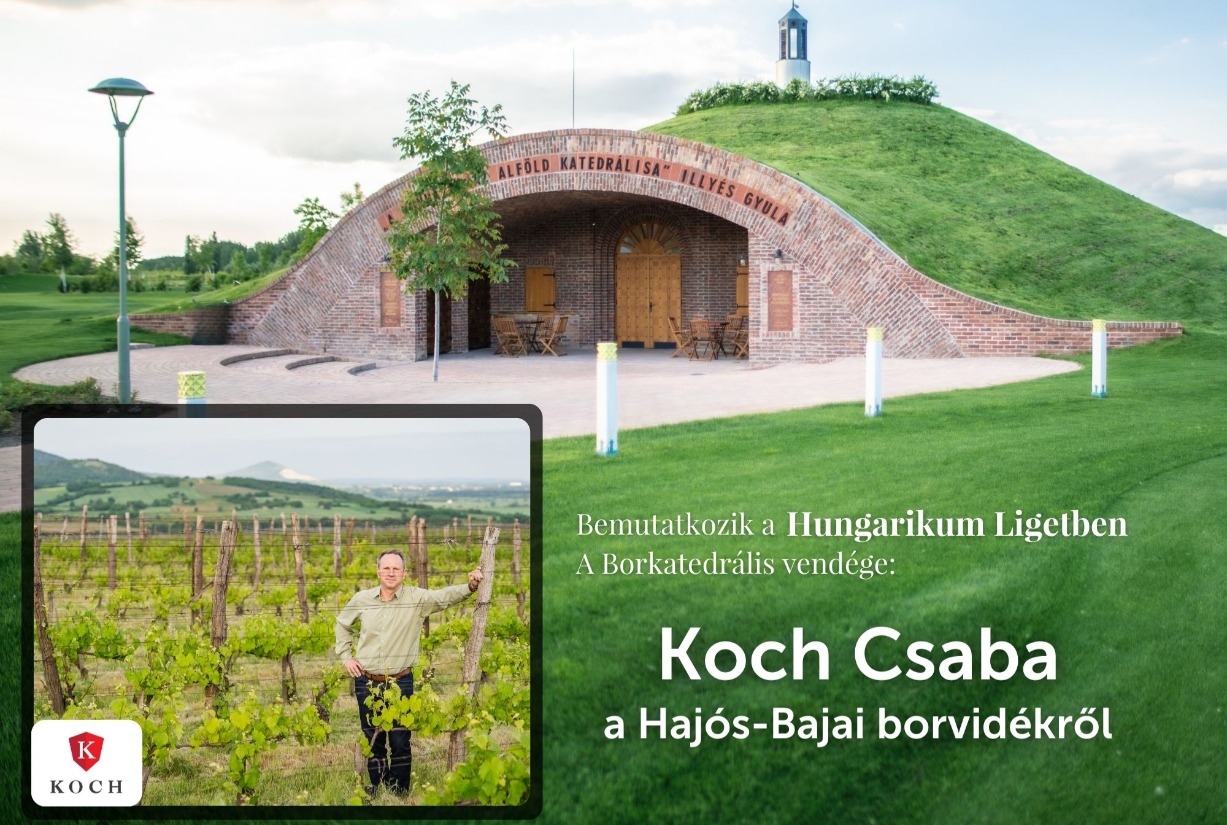 Koch Csaba Borest