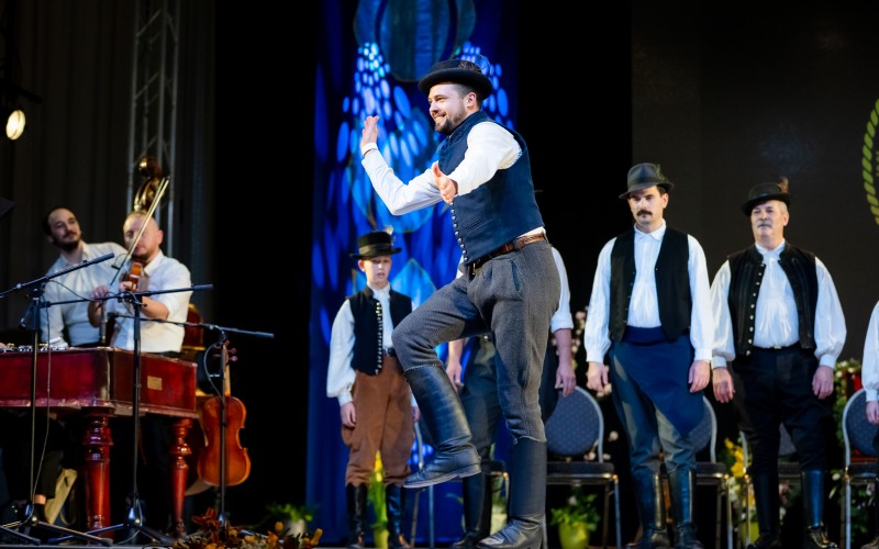 MDX37062